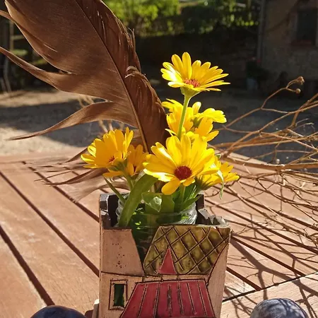 Zum Alten Eselstall 別荘 Lohma