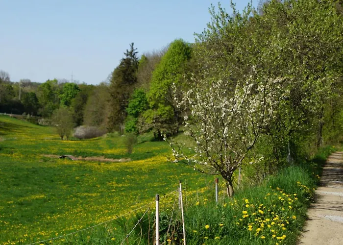 Vakantiehuis Zum Alten Eselstall Lohma