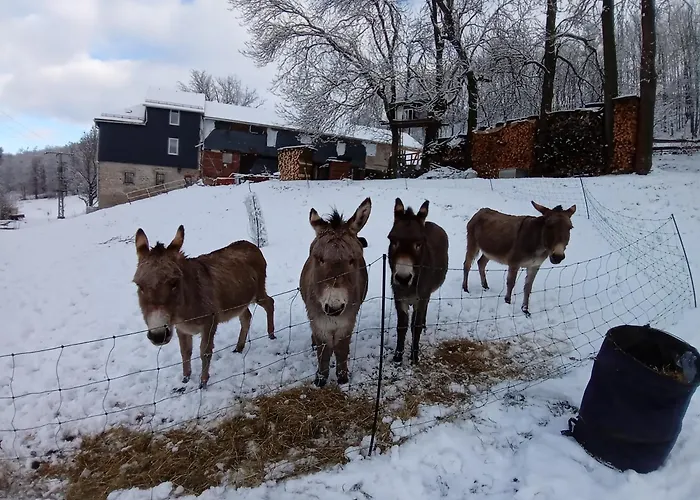 Zum Alten Eselstall Vakantiehuis